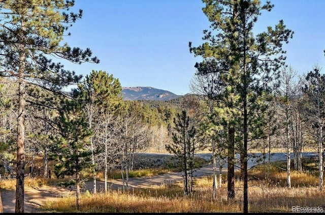 14 Aspen Dr, Bailey, CO 80421 - mountain view featuring a heavily wooded area