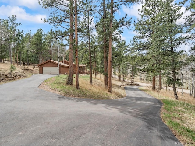 14 Aspen Dr, Bailey, CO 80421 - view of asphalt driveway