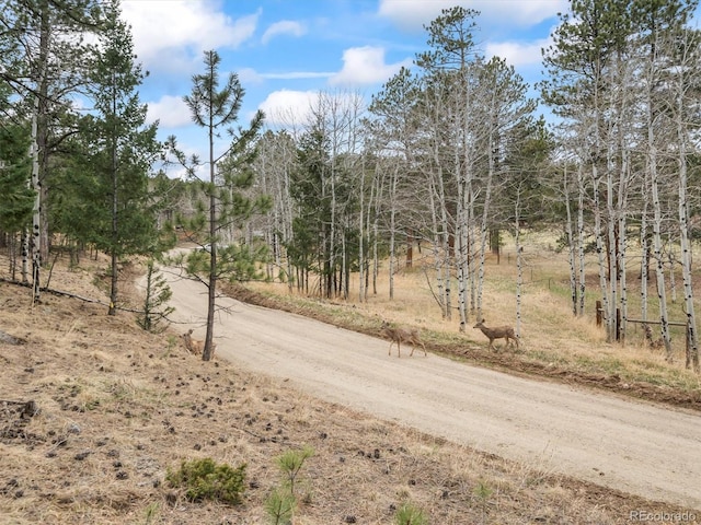 14 Aspen Dr, Bailey, CO 80421 - view of dirt / gravel road featuring a view of rural / pastoral area