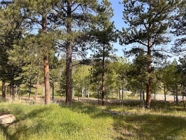 14 Aspen Dr, Bailey, CO 80421 - view of local wilderness