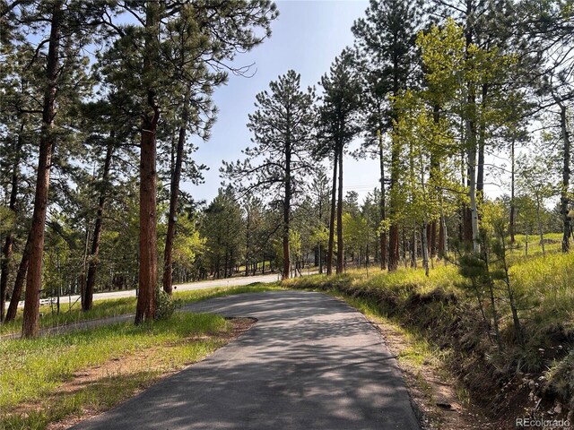 14 Aspen Dr, Bailey, CO 80421 - view of road featuring a view of trees