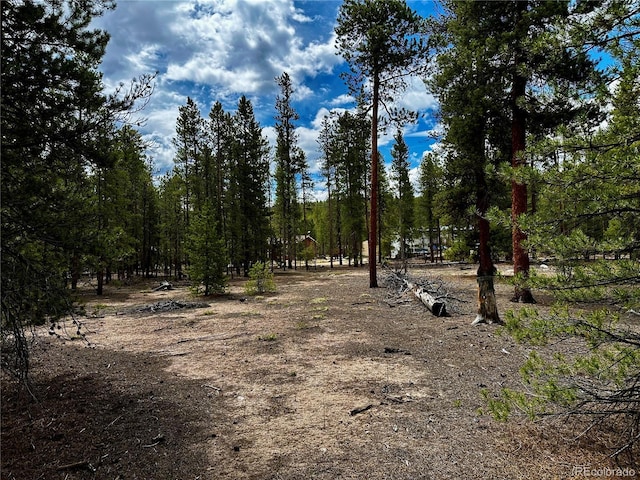 644 Birch Dr, Twin Lakes, CO 80461