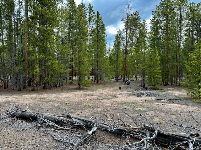644 Birch Dr, Twin Lakes, CO 80461