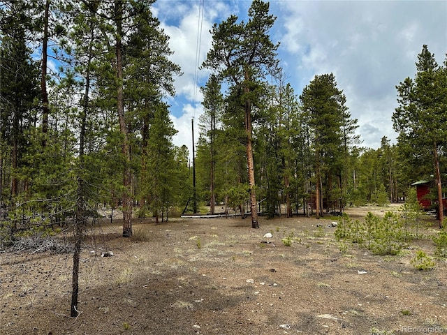 644 Birch Dr, Twin Lakes, CO 80461