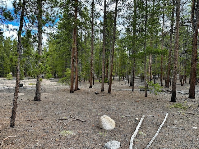 644 Birch Dr, Twin Lakes, CO 80461