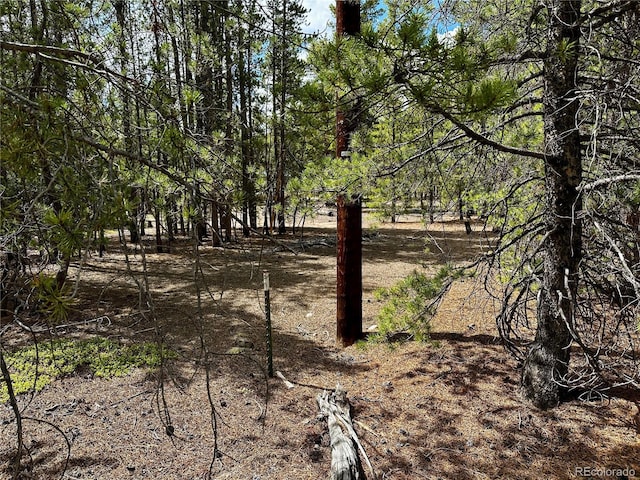 644 Birch Dr, Twin Lakes, CO 80461
