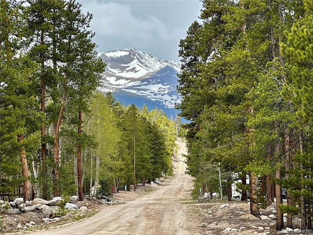 644 Birch Dr, Twin Lakes, CO 80461