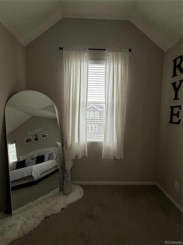 4591 Crestone Peak St, Brighton, CO 80601 - photo 10