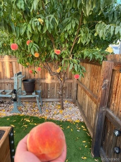 4591 Crestone Peak St, Brighton, CO 80601 - photo 22
