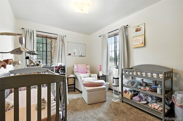 1205 S Dahlia St, Denver, CO 80246 - photo 30