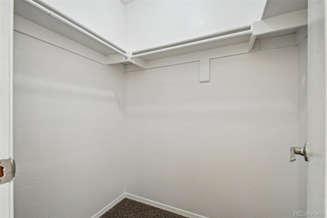 walk in closet with carpet