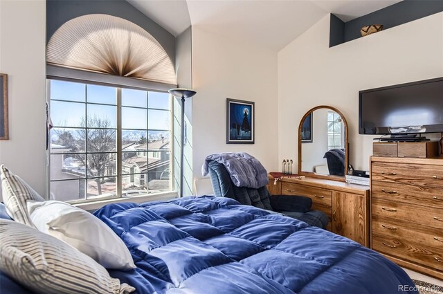 1359 Carlyle Park Cir, Highlands Ranch, CO 80129 - photo 19
