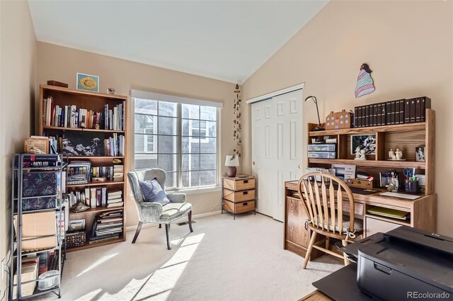 1359 Carlyle Park Cir, Highlands Ranch, CO 80129 - photo 25