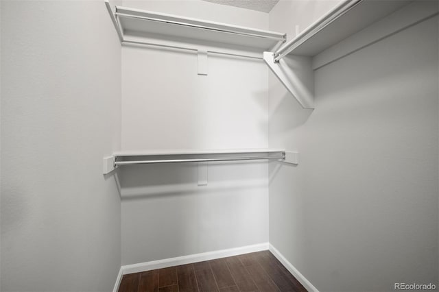 4882 W 68th Ave Unit 4, Westminster, CO 80030 - walk in closet with wood finished floors