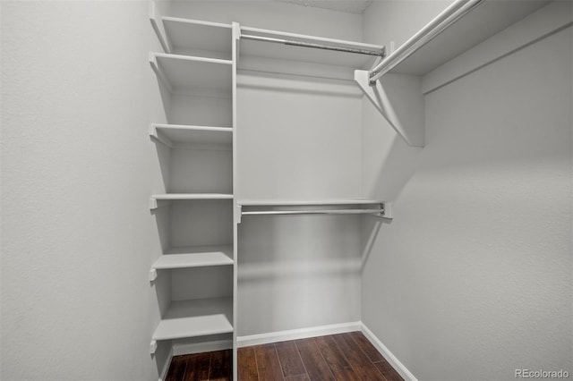 4882 W 68th Ave Unit 4, Westminster, CO 80030 - spacious closet featuring dark wood-type flooring