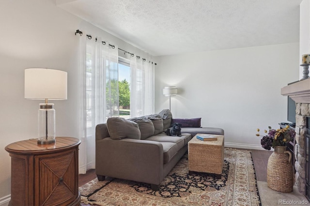 4750 S Dudley St Unit 21, Littleton, CO 80123 - living area featuring wood finished floors, a stone fireplace, and a textured ceiling