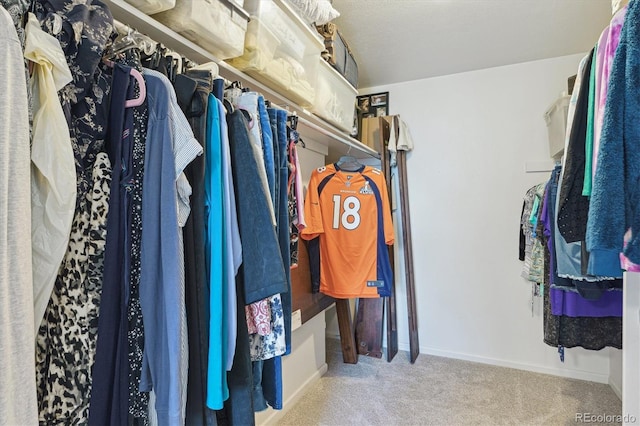 4750 S Dudley St Unit 21, Littleton, CO 80123 - spacious closet with carpet