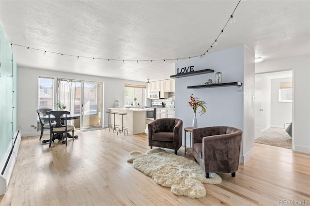 75 N Emerson St Unit 206, Denver, CO 80218 - living room featuring track lighting, baseboard heating, light wood-style flooring, a textured ceiling, and baseboards