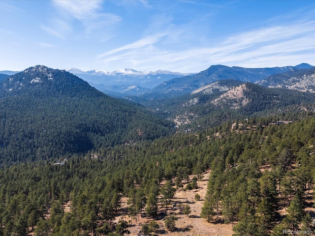 view of mountain feature