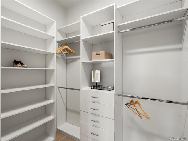 view of walk in closet