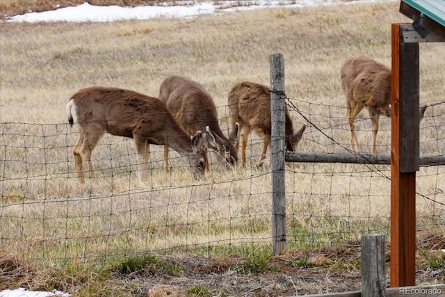 11840 Elkhorn Dr, Franktown, CO 80116 - view of stable