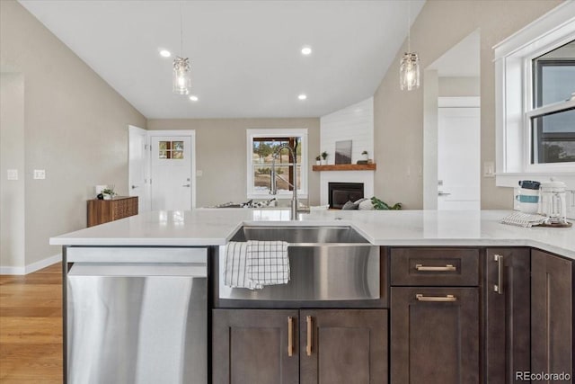 11840 Elkhorn Dr, Franktown, CO 80116 - kitchen with dishwasher, dark brown cabinetry, light wood-style flooring, a fireplace, and light countertops