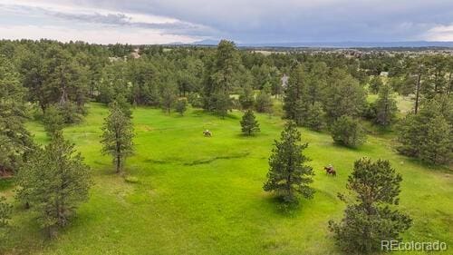 11840 Elkhorn Dr, Franktown, CO 80116 - photo 38