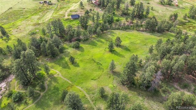 11840 Elkhorn Dr, Franktown, CO 80116 - photo 39
