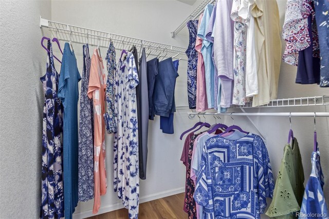 walk in closet featuring wood finished floors