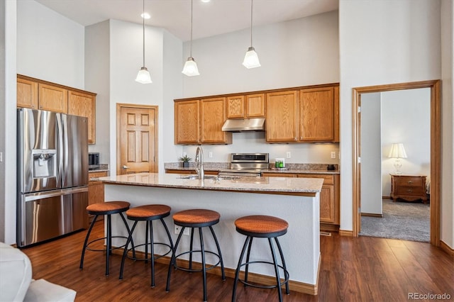 kitchen featuring a breakfast bar, under cabinet range hood, a sink, appliances with stainless steel finishes, and a towering ceiling