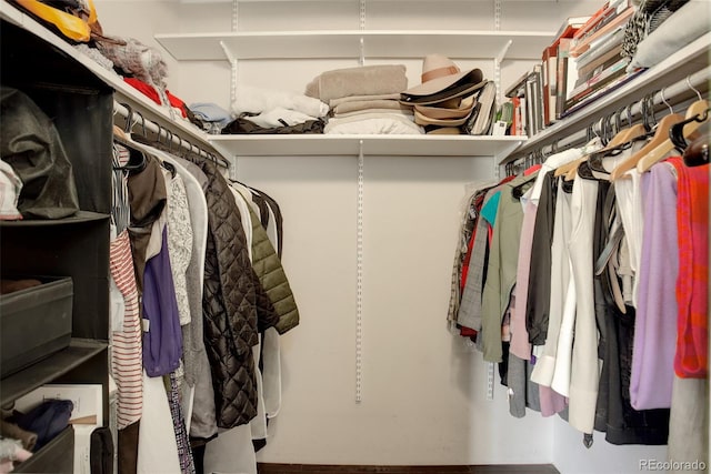 view of walk in closet