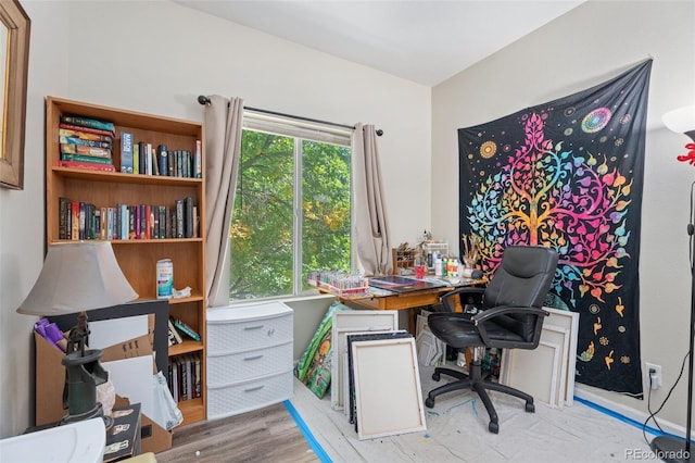 office area featuring light hardwood / wood-style flooring and a healthy amount of sunlight