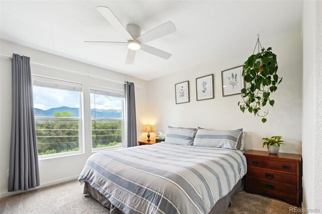 1914 Birmingham Loop, Colorado Springs, CO 80910 - photo 23