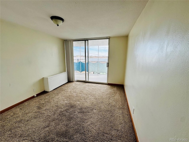 1155 N Ash St Unit 908, Denver, CO 80220 - carpeted empty room featuring radiator, expansive windows, and baseboards