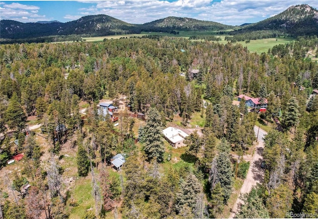 10893 Milliken Ave, Conifer, CO 80433 - drone / aerial view of a mountainous background and a heavily wooded area