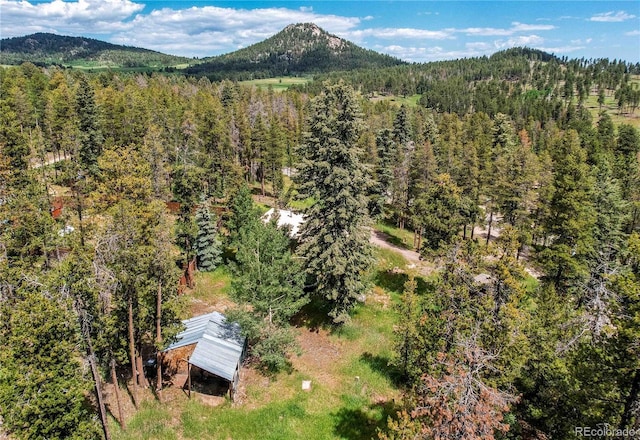 10893 Milliken Ave, Conifer, CO 80433 - aerial view of a heavily wooded area and a mountainous background