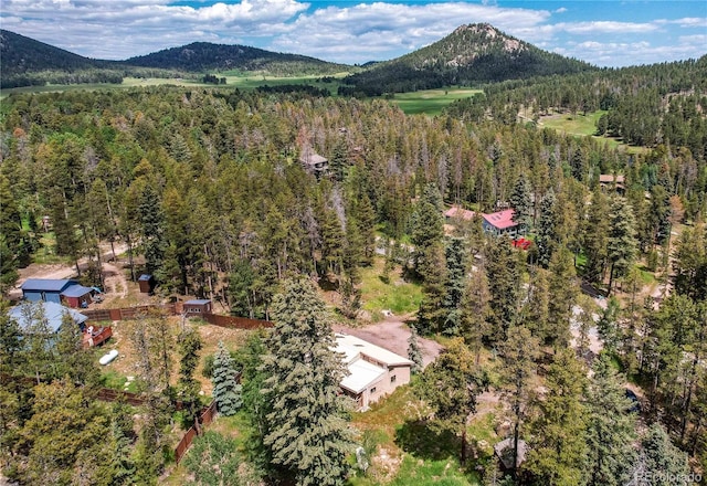 10893 Milliken Ave, Conifer, CO 80433 - drone / aerial view of a forest and a mountainous background