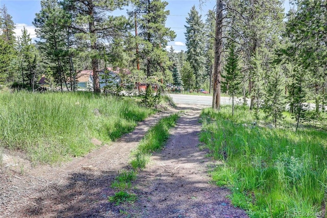 10893 Milliken Ave, Conifer, CO 80433 - view of dirt / gravel road with a forest view