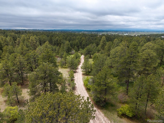 Ponderosa Ln, Elizabeth, CO 80107 - photo 4