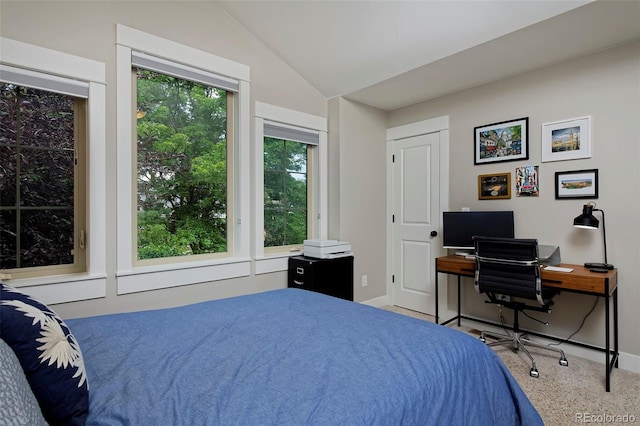 3214 W Hayward Pl, Denver, CO 80211 - photo 27