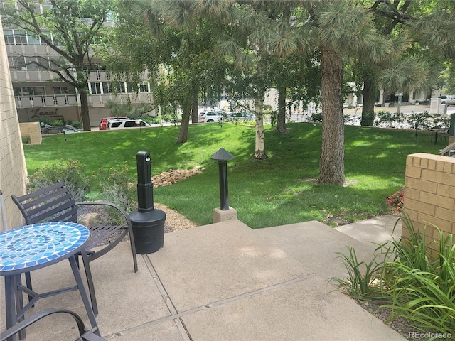 800 N Pearl St Unit 1109, Denver, CO 80203 - photo 31