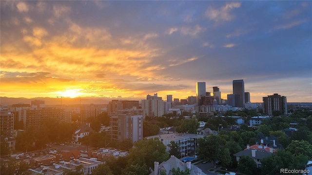 800 N Pearl St Unit 1109, Denver, CO 80203 - photo 33