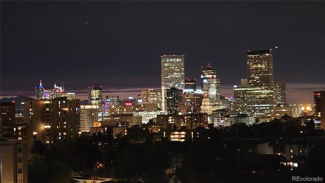 800 N Pearl St Unit 1109, Denver, CO 80203 - photo 34