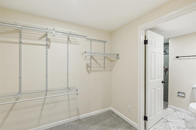 view of spacious closet