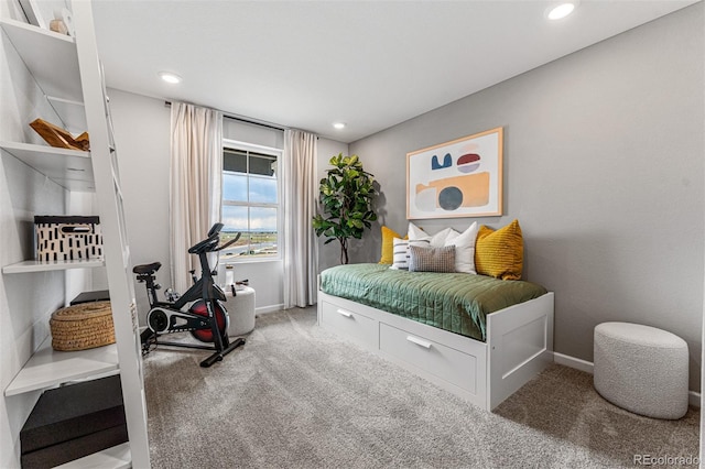 2110 Wagon Wheel Aly, Brighton, CO 80601 - carpeted bedroom featuring recessed lighting
