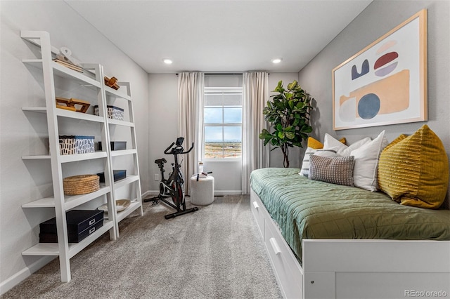 2110 Wagon Wheel Aly, Brighton, CO 80601 - carpeted bedroom with baseboards and recessed lighting