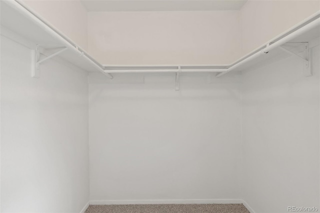 spacious closet with carpet