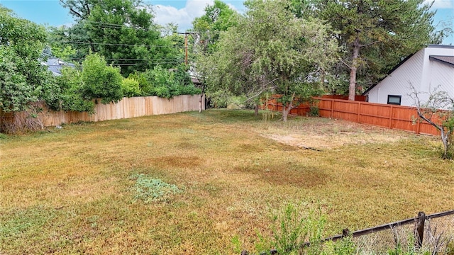 2479 Alkire St, Golden, CO 80401 - photo 9
