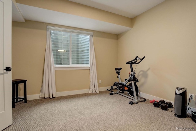 exercise room featuring carpet flooring