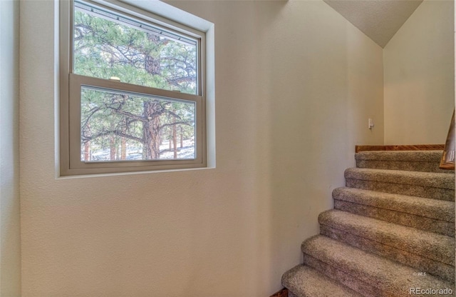 1443 Sangre Dr, Westcliffe, CO 81252 - stairway with lofted ceiling